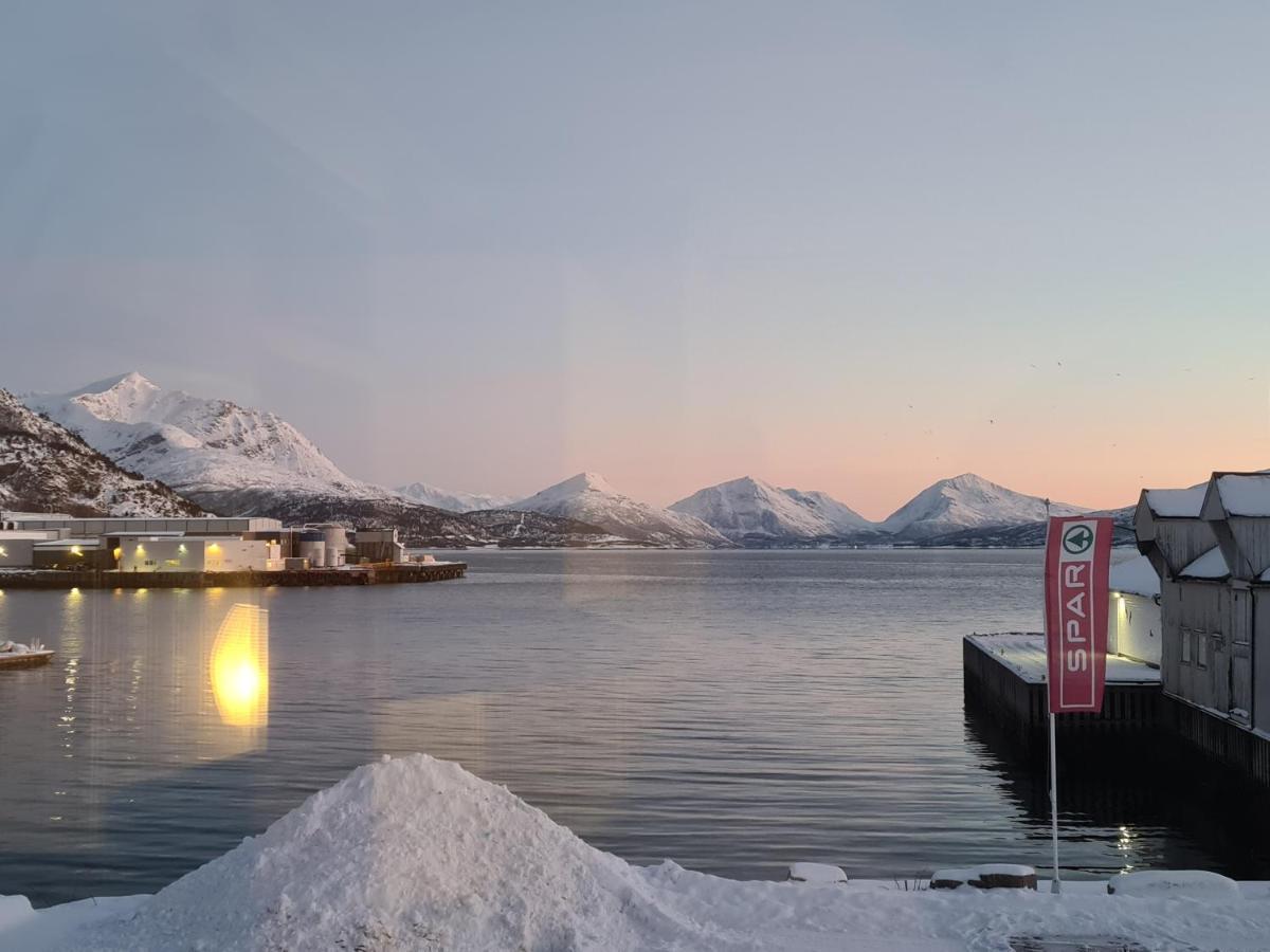 Aurora Harbour House Villa Lodingen Exterior photo